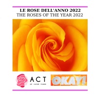"THE ROSES OF THE YEAR 2022": HOW TO PARTICIPATE IN THE INITIATIVE PROMOTED BY ACT AND OKAY!